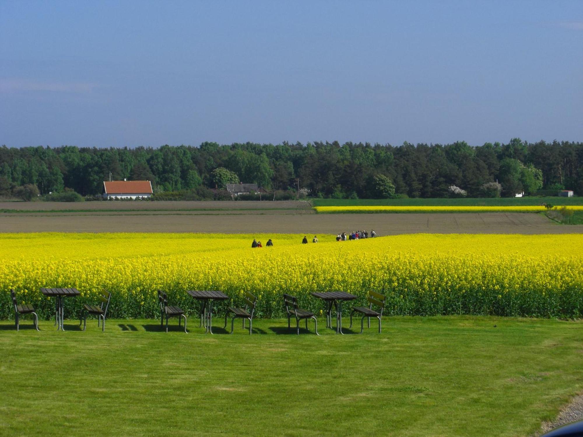 Hagestad 47 Löderup Oda fotoğraf