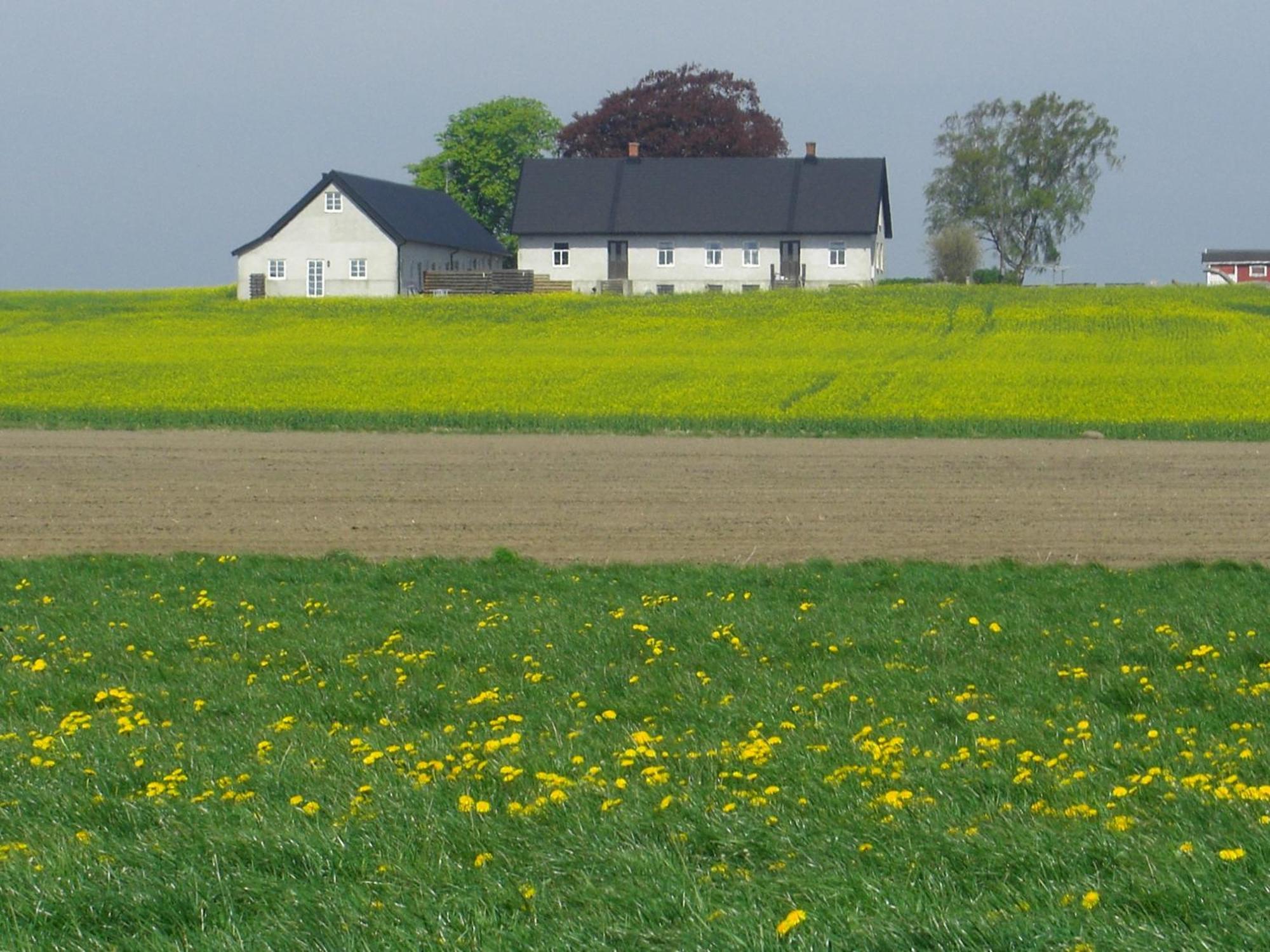 Hagestad 47 Löderup Oda fotoğraf